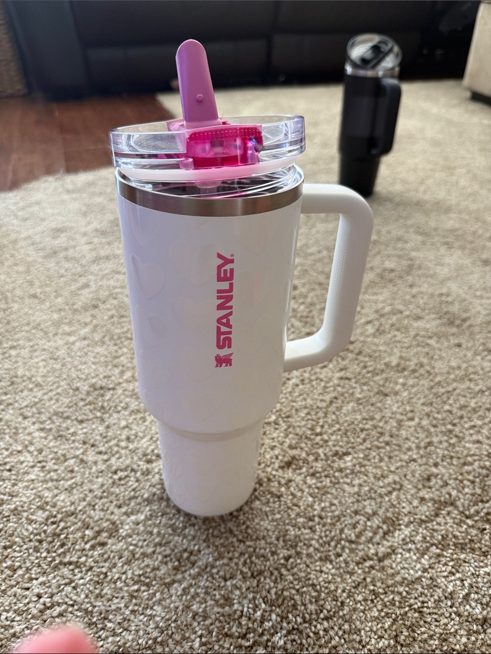 Stanley insulted cup with Hearts
